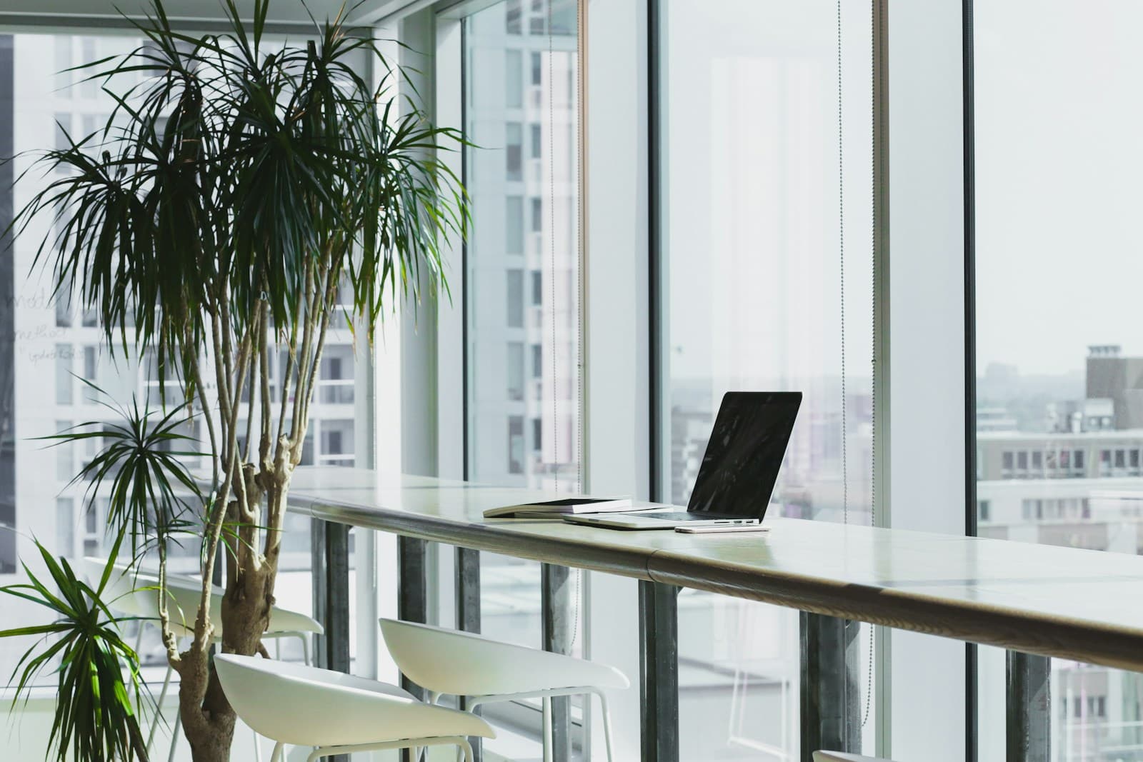 Bright commercial office with daylight, plants, and workstations by large windows