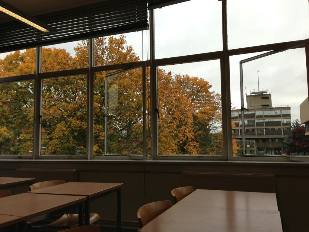 Classroom with wooden desks looking out at autumn trees through large windows